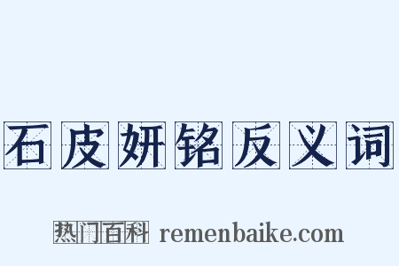 石皮妍铭反义词是什么意思的图片